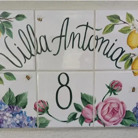 Antonia סנטה קרוז דה טנריף